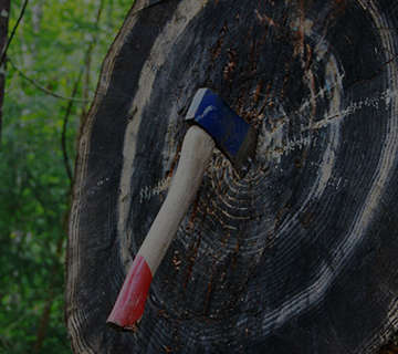 axe thrown at block of wood
