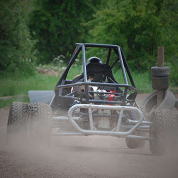 Fast and Furious Hens