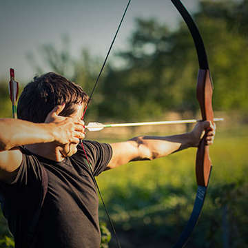 Robin Hood's Revenge