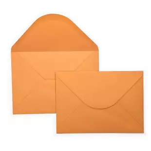 C5 Woodstock Arancio Envelopes 110gsm (162mm x 229mm)