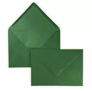 C5 Sirio Colour Foglia Envelopes 115gsm