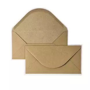 1,000 Wholesale DL Fleck Kraft Envelopes (110mm x 220mm)