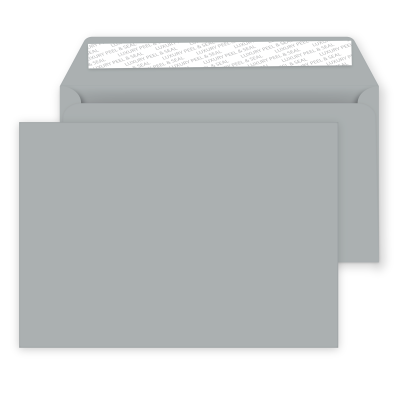 C5 Metallic Silver 01