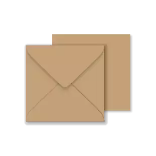 1000 Wholesale Large Square Lakes Craft Biscuit Envelopes 120gsm (146x146mm)