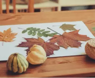 Autumn Craft – Seasonal Paper Projects