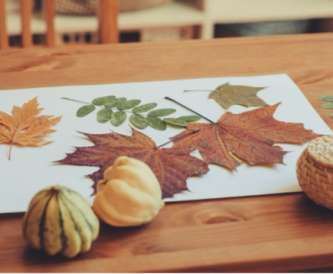 Autumn Craft – Seasonal Paper Projects