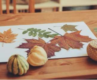 Autumn Craft – Seasonal Paper Projects