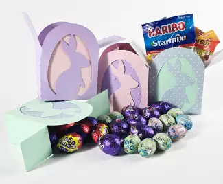 Easter Bunny Box