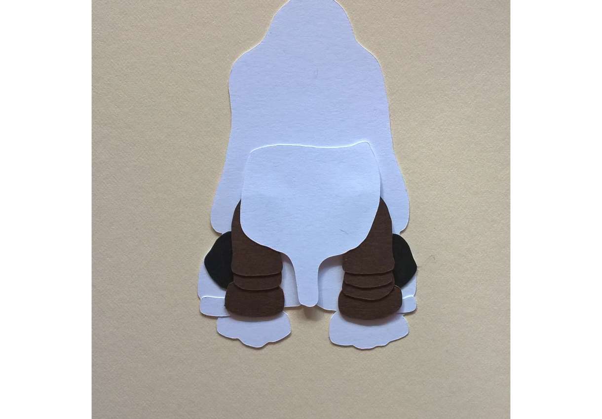 Basset Image12