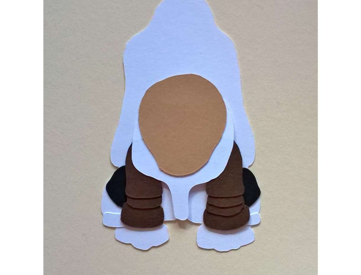 Basset Image13