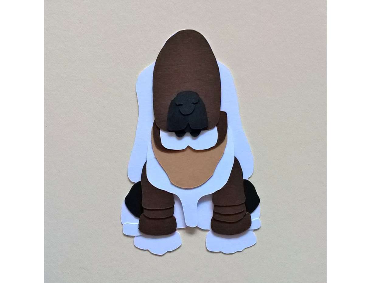 Basset Image21