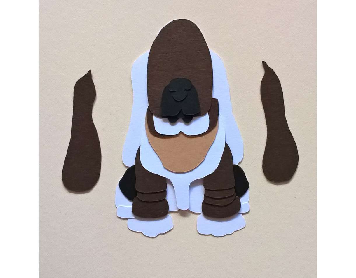 Basset Image22