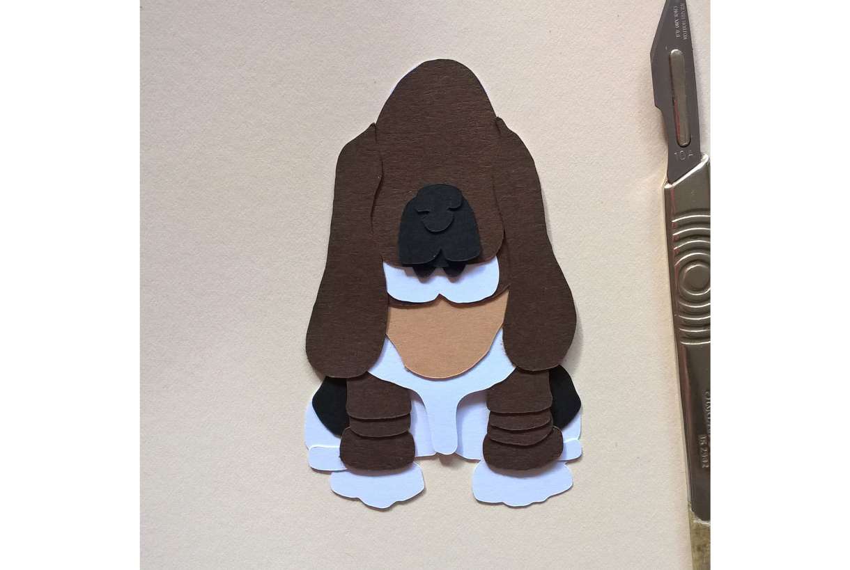Basset Image23
