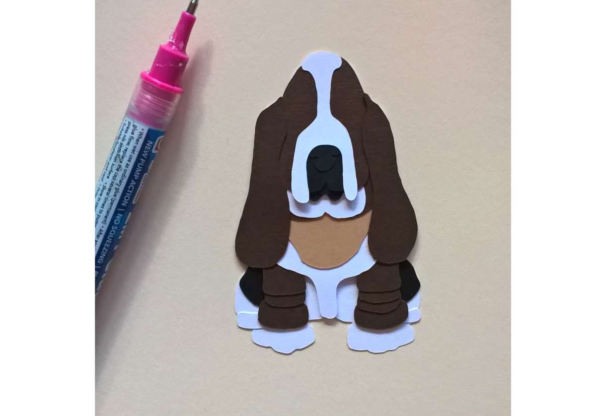 Basset Image25