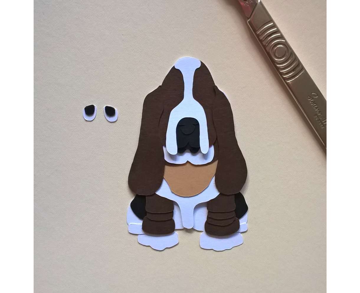 Basset Image27