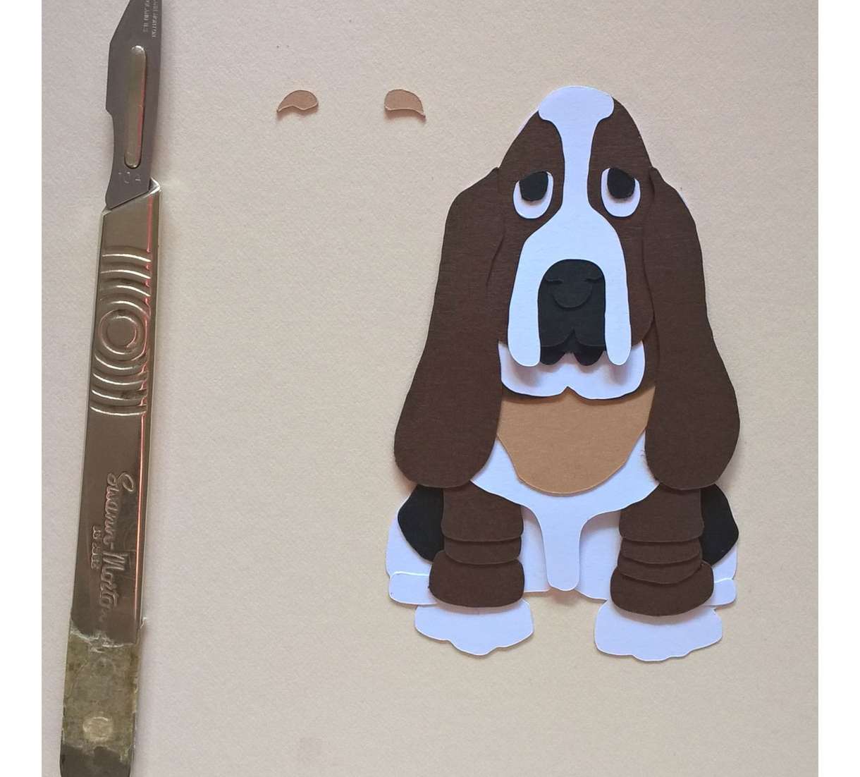 Basset Image28