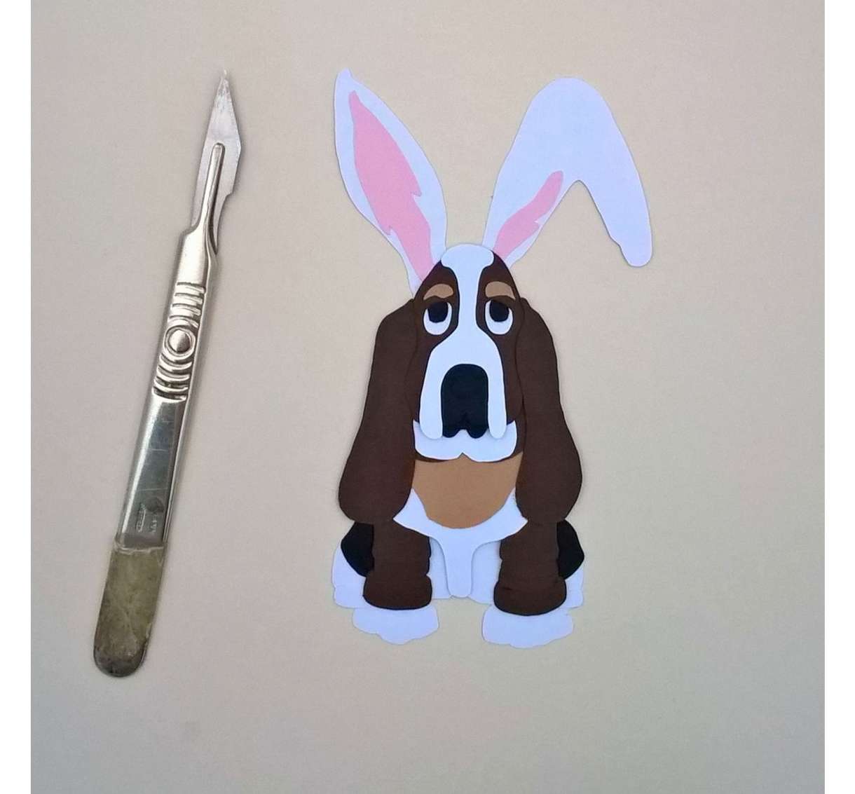 Basset Image32
