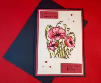 Remembrance Day 2020