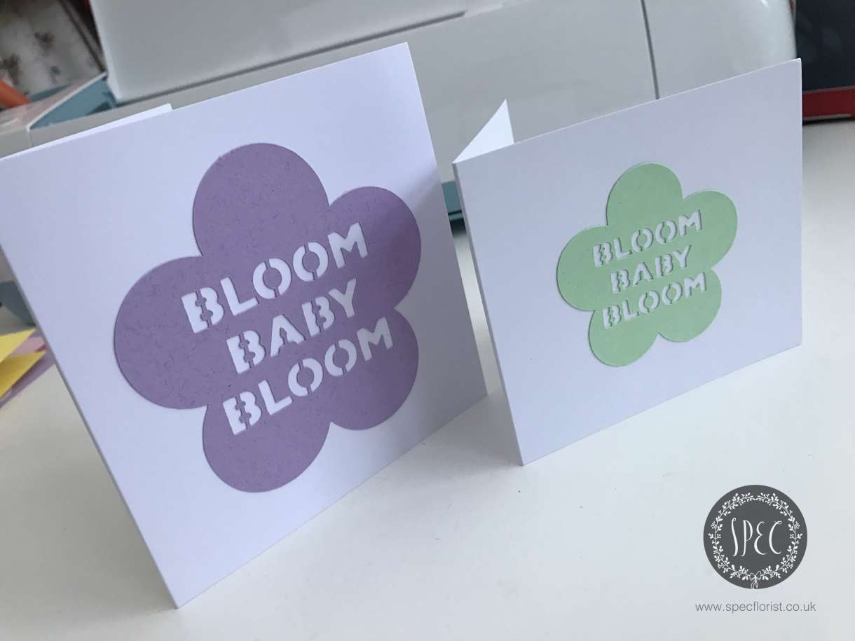 baby cards