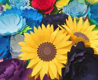 Meet the new Papermilldirect Design Team member!