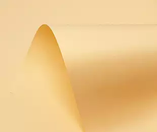 Pastel Orange