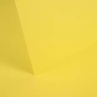 Daffodil Yellow 170gsm