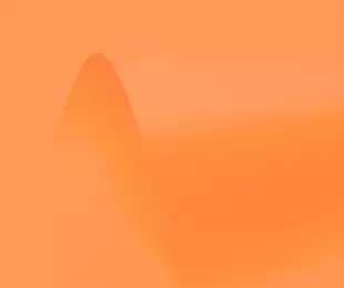 Neon Mandarin