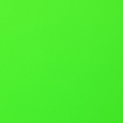 Light Green Dayglo