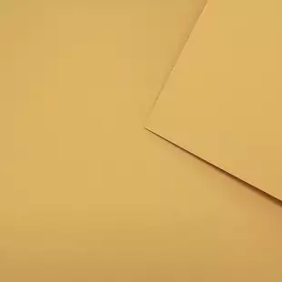 Website Caramel 160Gsm