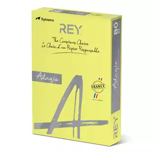A4 (210x297mm) Rey Adagio Banana Yellow 80gsm | 500 Sheets