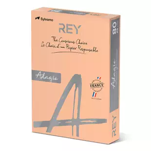 A4 (210x297mm) Rey Adagio Salmon 80gsm | 500 Sheets