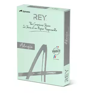 A4 (210x297mm) Rey Adagio Bright Green 160gsm | 250 Sheets