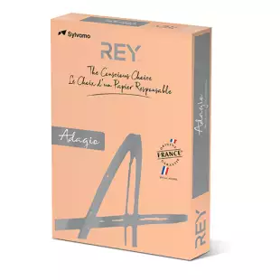 A4 (210x297mm) Rey Adagio Salmon 160gsm | 250 Sheets