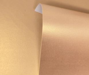 Pure Pearl Satin Gold LPSS13 SGO