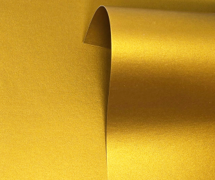 Pure Pearl Vintage Gold LPSS13 VG 2
