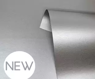 Pure Pearl Titanium Silver LPSS13 TS 2 NEW