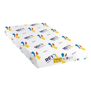 A3 (420x297mm) Rey Text & Graphics 80gsm | 500 Sheets