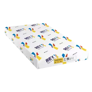 A3 (420x297mm) Rey Text & Graphics 100gsm | 500 Sheets