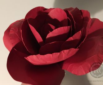 018 Petal Assembling