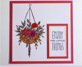 Orange & Pink? Yes Please!