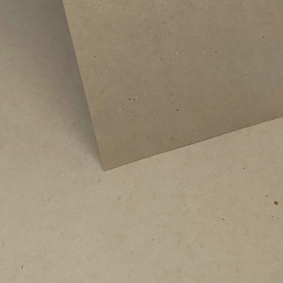Pale Fleck