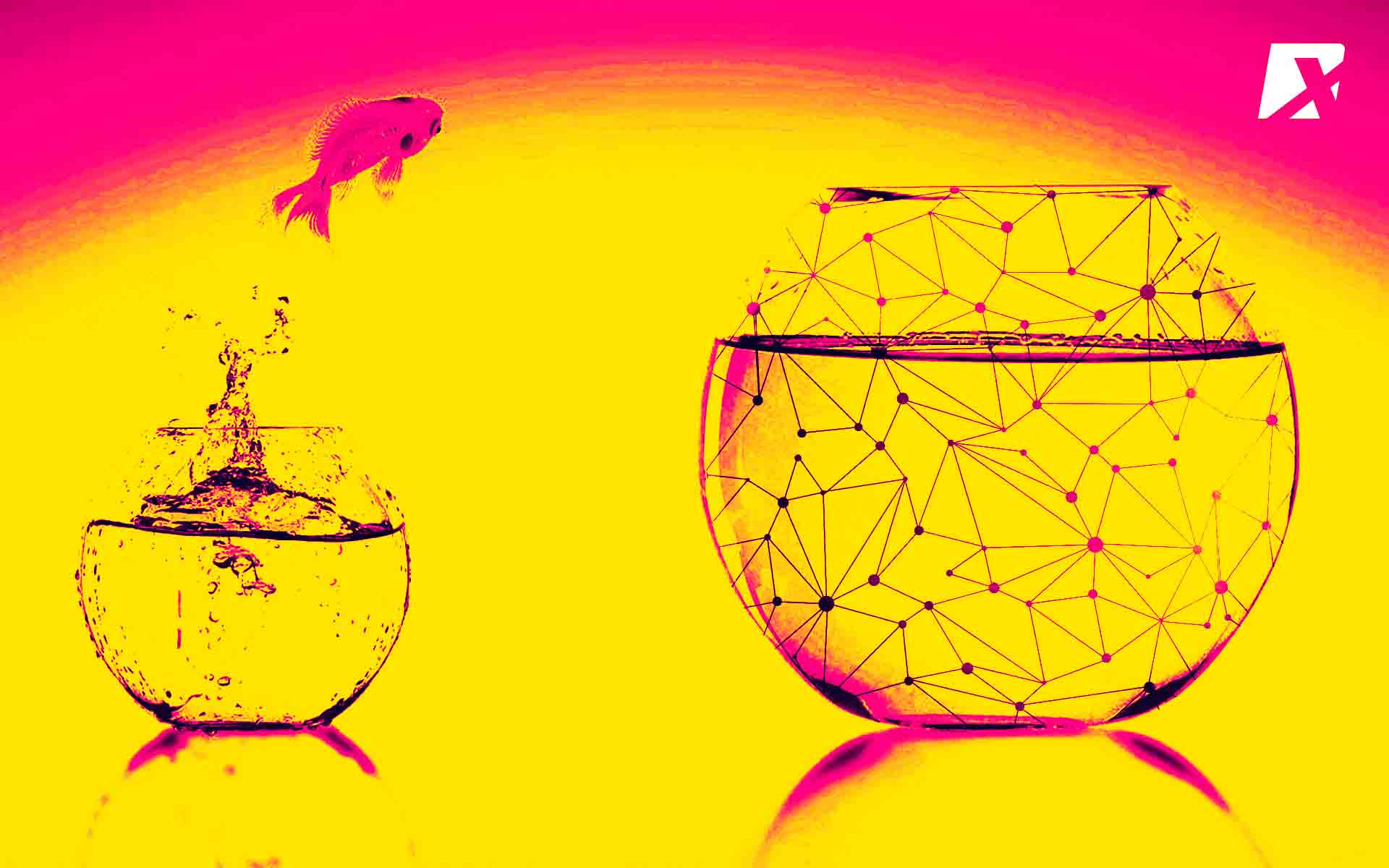 C2C Market Startup Takes It To “Next Level” By Integrating Blockchain