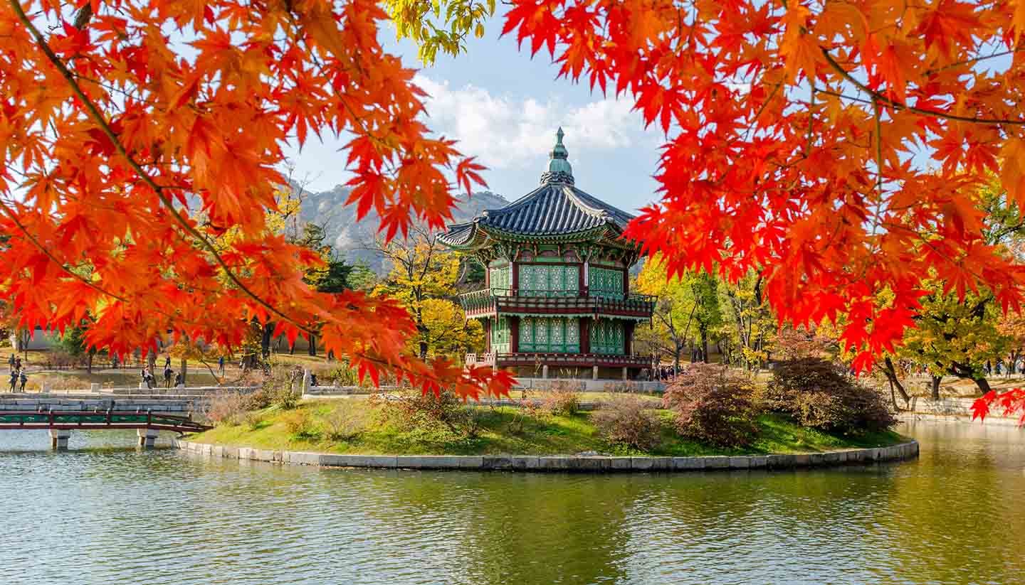 south korea rolls out