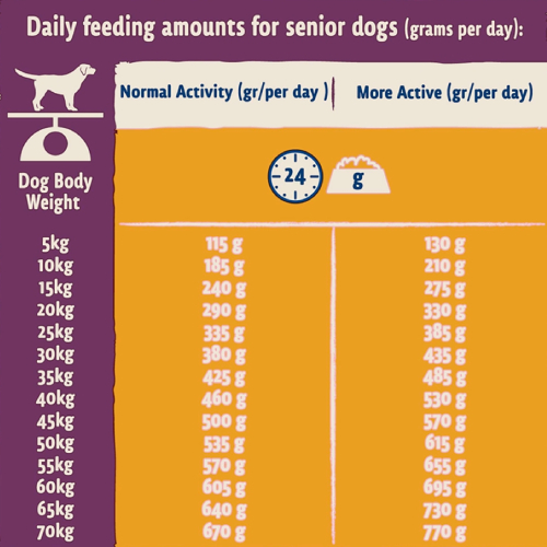 Purina BETA Dog Food Senior