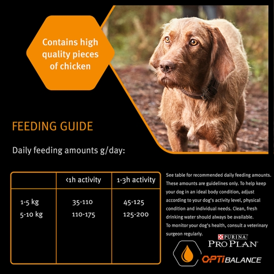 How Much Water Should A Dog Drink Calculator at Cynthia Jameson blog