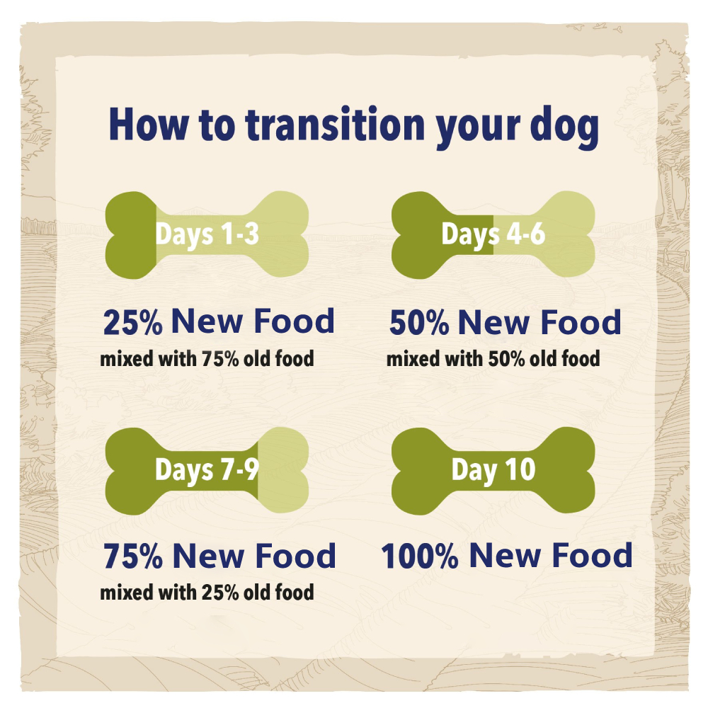 Purina BETA Dog Food Senior