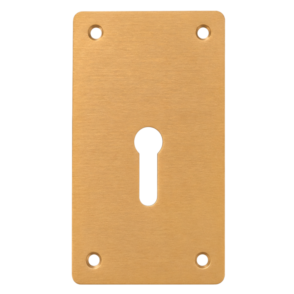 ASEC Screw On 45mm x 70mm UK Mortice Escutcheon