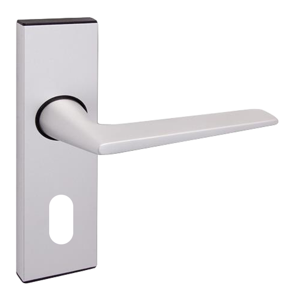 Anodised Silver Oval Lever Lock Anodised Silver Oval Lever Lock