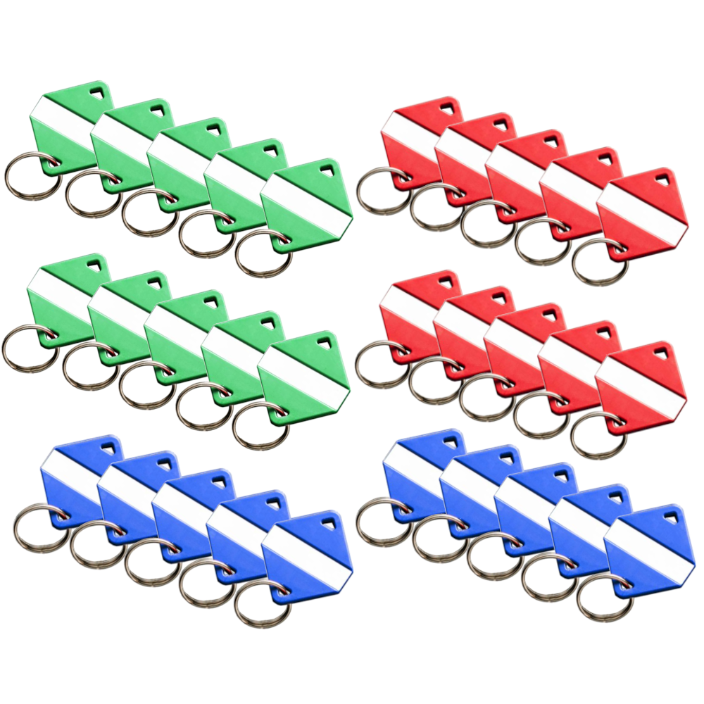 INTRATONE Mifare Electronic Key Ring Tags (Box of 30)
