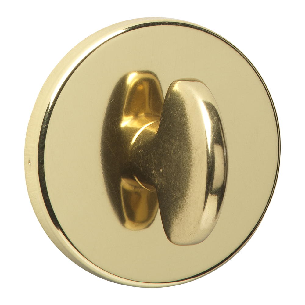 Polished Brass (Visi) Polished Brass (Visi)